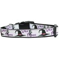 Mirage Pet Products Witch & Famous Nylon Dog CollarMedium Narrow 125-213 MDN